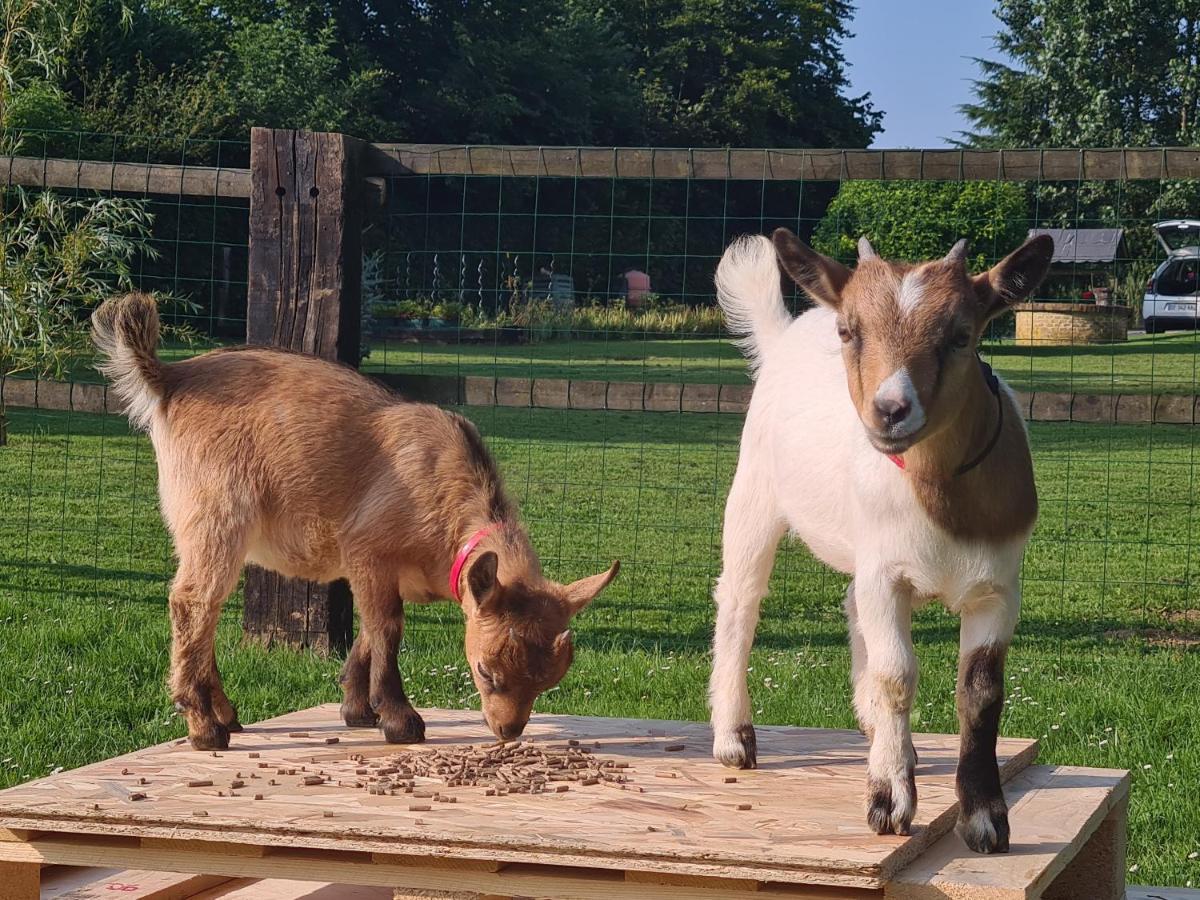 Gite Le Manege Normand Grand-Camp  Dış mekan fotoğraf